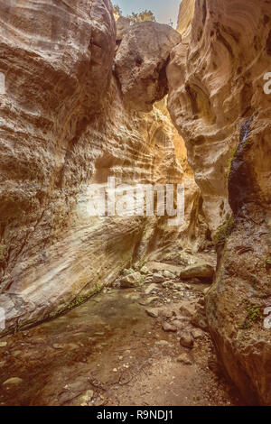 Incredibile paesaggio naturale nel canyon Avakas a Cipro. National soleggiato parco selvatico con scogliere, montagne, rocce e alberi. Profonda valle naturale a dis Foto Stock