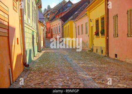 Svuotare acciottolata strada in pietra di Sighisoara, Romania con case colorate nella vecchia parte storica della citta'. Foto Stock