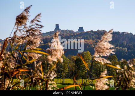 Paesaggio autunnale in Boemia che domina le rovine di un castello medievale su una collina e roccia alta. Storico e distintivo della Repubblica ceca e un popolare Foto Stock