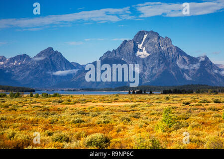 Montare Moran da Willow Flats in Grand Teton National Park, Wyoming Foto Stock