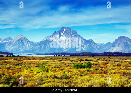 Montare Moran da Willow Flats in Grand Teton National Park, Wyoming Foto Stock