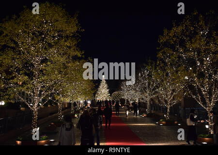 2019 Natale Illuminazione a Yebisu Garden Place, Tokyo Foto Stock