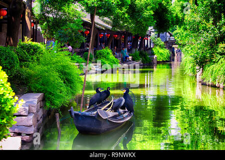 Luzhi antica città, Cina. Il 1 agosto 2015. Cormorani seduto su una barca sui canali di acqua di Luzhi acqua in città Wuzhong, Cina. Foto Stock