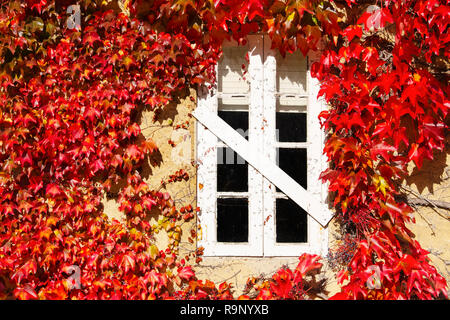 Finestra bianca e foglie di autunno in una casa, Santander. Cantabria Spagna settentrionale, l'Europa. Foto Stock