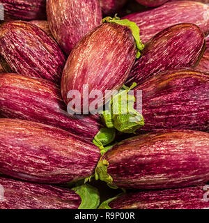 Aubergine o Eggplant freschi a strisce viola in un mercato alimentare Foto Stock
