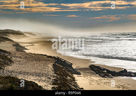 Spiaggia Grand Crohot. A Lège-Cap Ferret, Gironde. Regione Aquitania. Francia Europa. Foto Stock