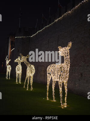 Renne gigante al Castello di Cardiff numero 3754 Foto Stock