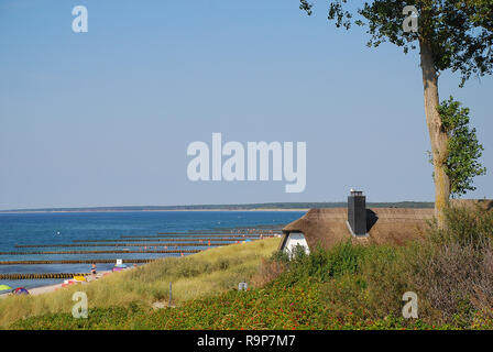 Il paesaggio costiero con un tipico edificio con tetto in paglia al Mar Baltico sulla soleggiata giornata estiva, Ahrenshoop, Darss, Germania. Il Darss è la parte centrale Foto Stock