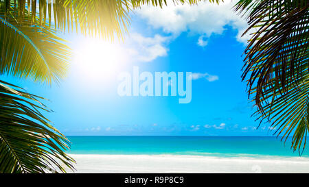 Foglie di palmo sul cielo azzurro sfondo. weekend festivi spiaggia tropicale sfondo concept Foto Stock