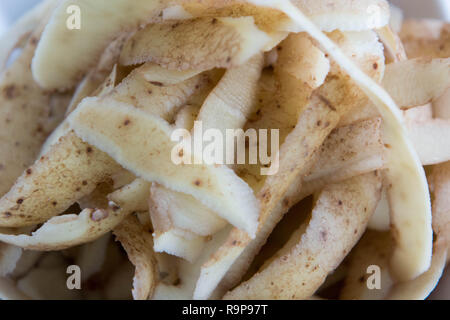 White Marris Piper patate bucce di rifiuti per l'uso come concime Foto Stock