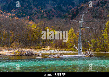 Taisho stagno in Kamikochi in autunno, Alpi Giapponesi, Chubu Sangaku National Park Foto Stock