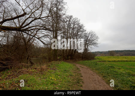 Il Faberwald Park nel sud di Norimberga. La Baviera, Germania. Foto Stock