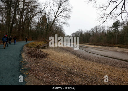 Il Faberwald Park nel sud di Norimberga. La Baviera, Germania. Foto Stock