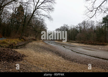 Il Faberwald Park nel sud di Norimberga. La Baviera, Germania. Foto Stock