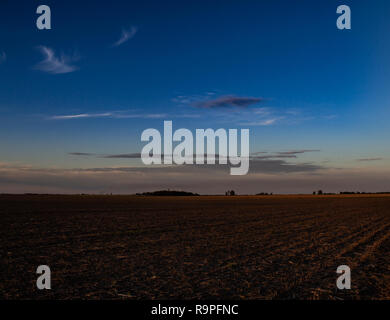 Campo piantate durante il tramonto. Alcune piccole nuvole nel cielo. Zona rurale. Foto Stock