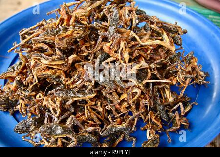 Rane fritte street food snack a una pressione di stallo stradale in Cambogia Foto Stock