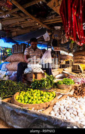 Produttore presso Il Sahid Nagar Haat, Bhubaneshwar. Foto Stock