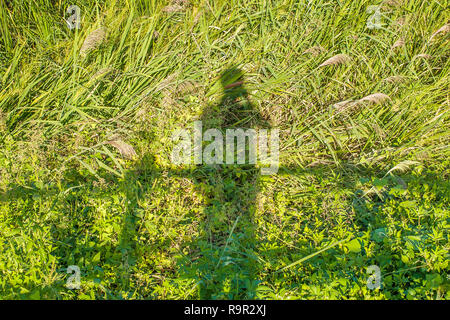 L'ombra di un fotografo su un prato verde Foto Stock
