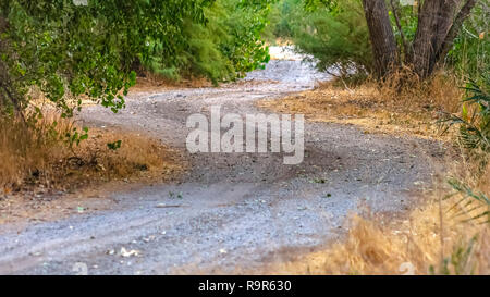 Avvolgimento sentiero attraverso la foresta di Provo Utah Foto Stock