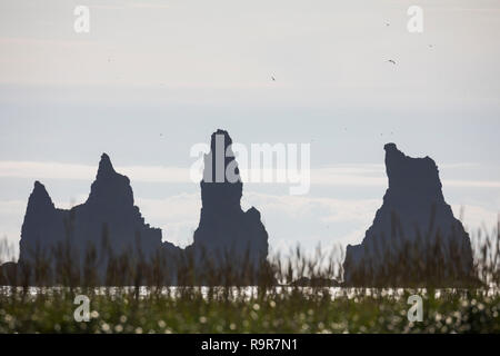 Felsen, Felsnadeln, Reynisdrangar an der Küste von Vík í Mýrdal, "Bucht am sumpfigen Tal", Vik mi Myrdal, liegt in der Gemeinde isländischen Mýrdalur Foto Stock