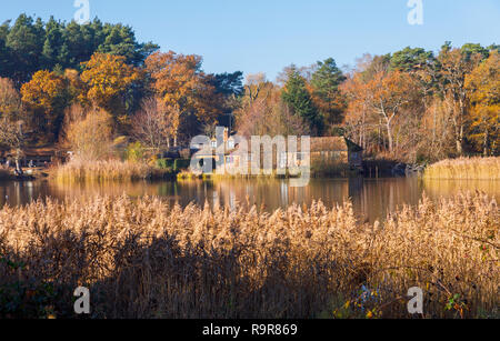 Vista di Frensham Laghetto, un popolare luogo di bellezza per escursionisti vicino a Farnham, Surrey, sud-est dell'Inghilterra, nel tardo autunno Foto Stock