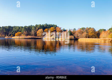 Vista di Frensham Laghetto, un popolare luogo di bellezza per escursionisti vicino a Farnham, Surrey, sud-est dell'Inghilterra, nel tardo autunno Foto Stock