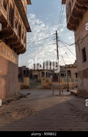 Foderato Haveli strada laterale con distante di mucca e di linee di alimentazione aeree, Mandawa, Rajasthan, India Foto Stock