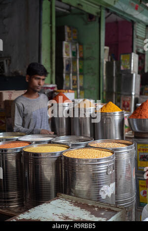 Fresche le spezie in polvere e una varietà di lenticchie per la vendita al mercato delle spezie in Udaipur, Rajasthan, India Foto Stock