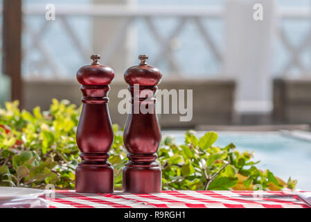 Due eleganti in legno marrone condimenti retroilluminati da sole caldo su un a quadretti rossi e bianchi da tavola con panno verde dietro in un alfresco restauraut Foto Stock