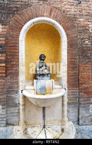 Tartaruga fontana nella parete Contrade Tartuca nella vecchia città di Siena. Italia Foto Stock