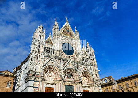 Siena Cattedrale Santa Maria Assunta, Duomo di Siena. Toscana, Italia Foto Stock