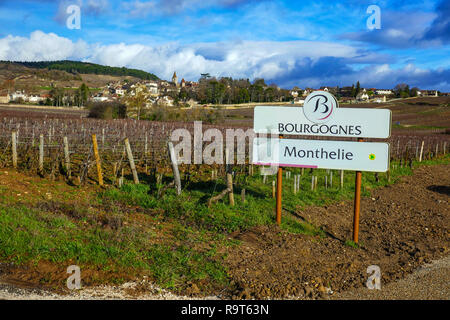 Vigneti in inverno, Beaune, vicino a Digione, Borgogna, Francia Foto Stock