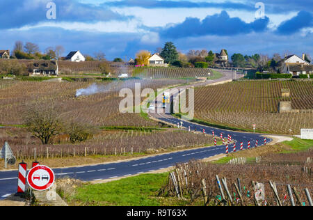 Vigneti in inverno, Beaune, vicino a Digione, Borgogna, Francia Foto Stock