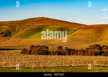 Italia Basilicata paese vicino a Venosa Foto Stock