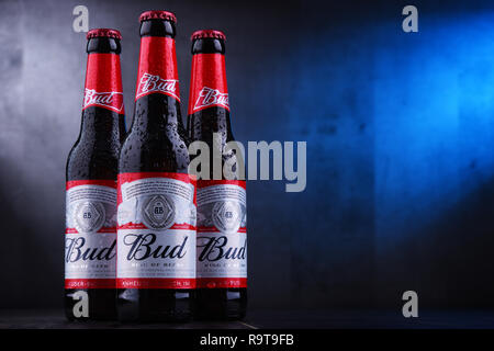 POZNAN, POL - Nov 29, 2018: bottiglie di birra Bud, un American-style lager prodotta da Anheuser-Busch, introdotto a St. Louis, Missouri nel 1876. Foto Stock