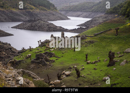 Albero morto le linee sulla riva del fiume, davanti alle rovine del villaggio Celtico di Castro Candaz, Ribeira Sacra, Chantada, Galizia Foto Stock