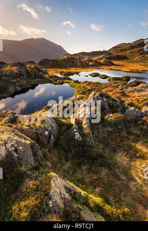 Verso il Vertice di Haystacks, Innominate Tarn è bagnata autunnale di luce dorata che riflette le nuvole nel dire & circondato balze rocciose Foto Stock