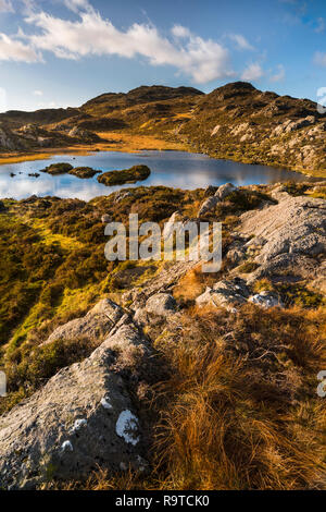 Verso il Vertice di Haystacks, Innominate Tarn è bagnata autunnale di luce dorata che riflette le nuvole nel dire & circondato balze rocciose Foto Stock