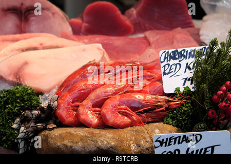 Il gigante fresco gamberi crostacei sul mercato di Borough pesce contatore di stallo a Southwark, Londra Sud Inghilterra UK KATHY DEWITT Foto Stock