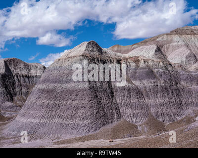 Blue Mesa Badlands dalla Foresta blu Loop Trail, Parco Nazionale della Foresta Pietrificata, Arizona. Foto Stock