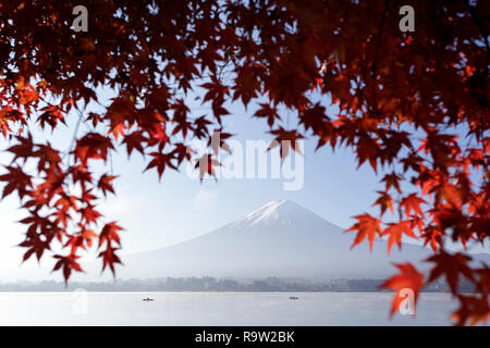 Mt. Fuji, Giappone al Lago Kawaguchi durante la stagione autunnale. Foto Stock