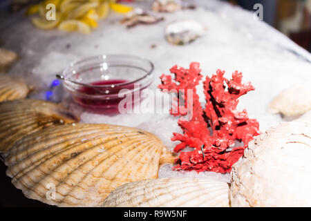 Servire con ghiaccio, limoni, conchiglie e oyster Foto Stock