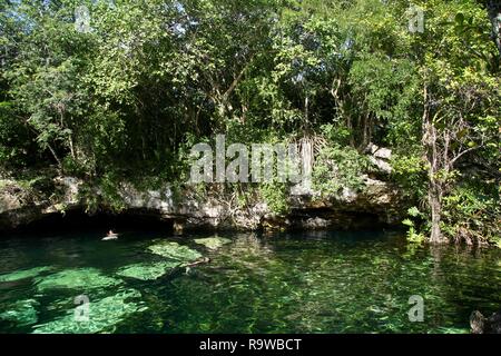 Un naturale aperto cenote in Messico da una molla della metropolitana Foto Stock