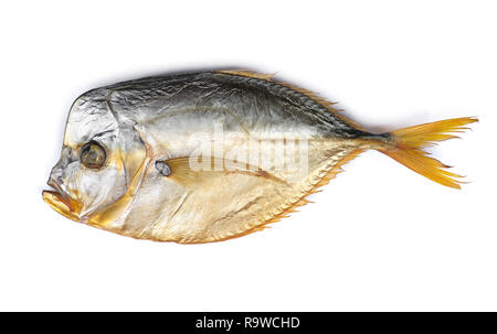 Vomer affumicato di pesce bianco su sfondo isolato Foto Stock