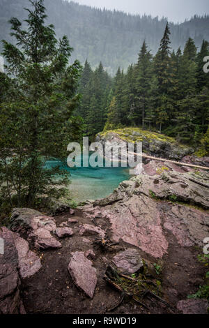 Fluente pagliaio Creek del Glacier National Park in Montana su un nuvoloso giorno. Vicino a valanga trail. Foto Stock