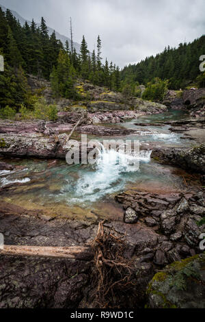 Fluente pagliaio Creek del Glacier National Park in Montana su un nuvoloso giorno. Vicino a valanga trail. Foto Stock