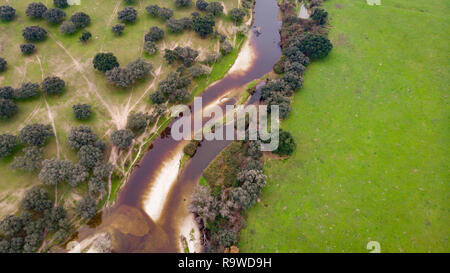 Veduta aerea del paesaggio in Spagna oltre il leccio Foto Stock