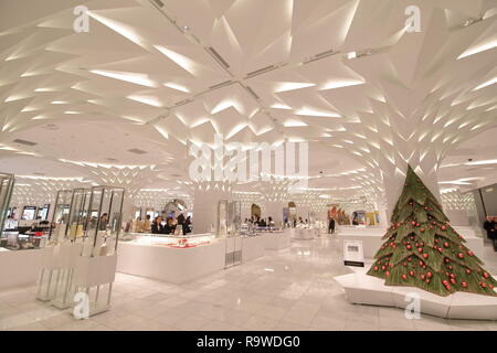 La gente visita Nihonbashi Mitsukoshi department store di Tokyo in Giappone. Foto Stock