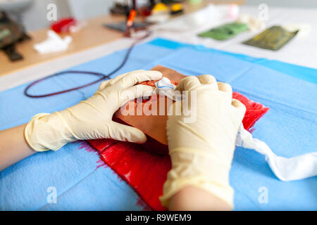 Militare tedesco medic pratica di controllo spurgo su un manichino di ferita Foto Stock