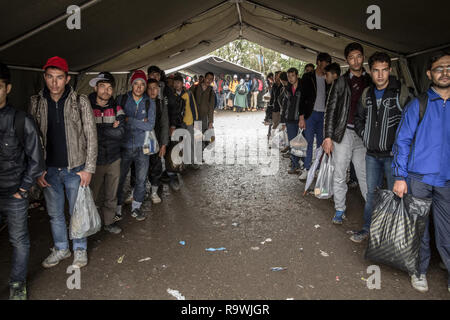 BERKASOVO, SERBIA - 17 ottobre 2015: i rifugiati in attesa di entrare in Croazia il croato frontiera serba, sui Balcani percorso, durante la crisi di rifugiati Foto Stock